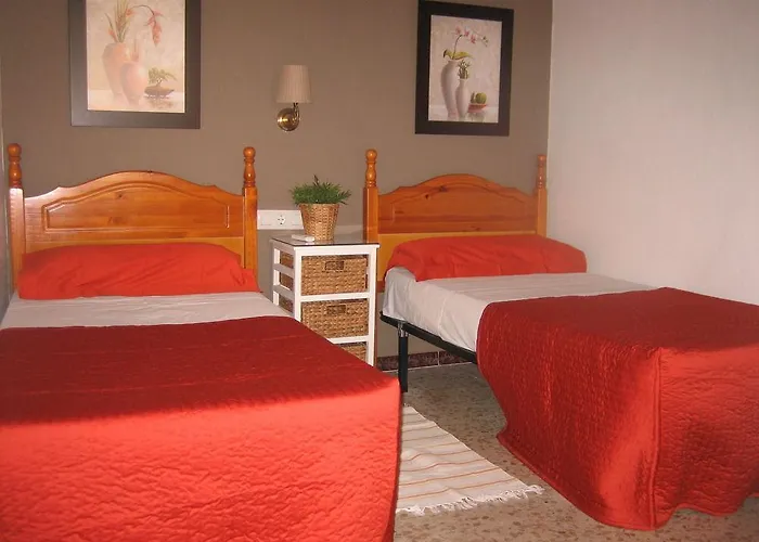 Konukevi Tarantelo Conil Conil De La Frontera